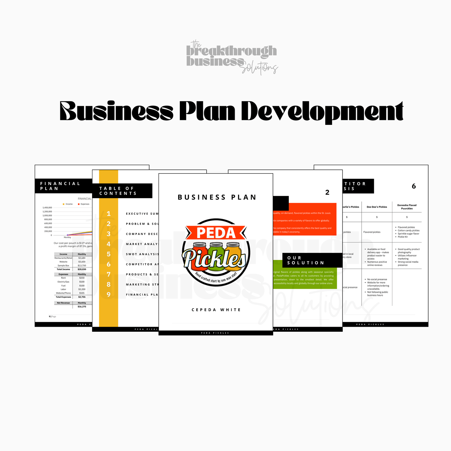 picture of pages of a business plan